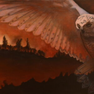 Realistic high fine art prints and original images of a owl flying through burning forest saving a last blade of grass